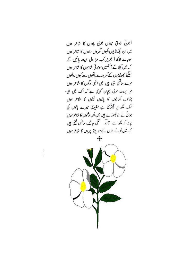 Urdu Poetry Book - Kachi Neend Say Jagi Rut - by Abdul Qadir Qadri